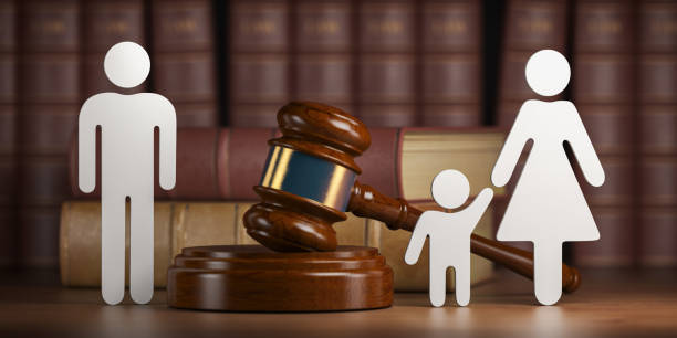 Avokati I Popullit Kërkon Përshpejtimin E Proceseve Gjyqësore Që Lidhen Me Fëmi…